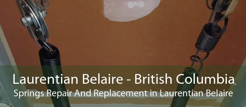 Laurentian Belaire - British Columbia Springs Repair And Replacement in Laurentian Belaire