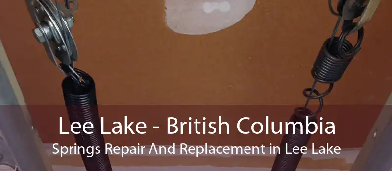 Lee Lake - British Columbia Springs Repair And Replacement in Lee Lake