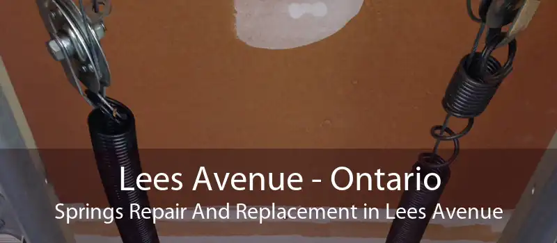 Lees Avenue - Ontario Springs Repair And Replacement in Lees Avenue