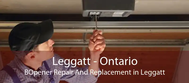 Leggatt - Ontario BOpener Repair And Replacement in Leggatt