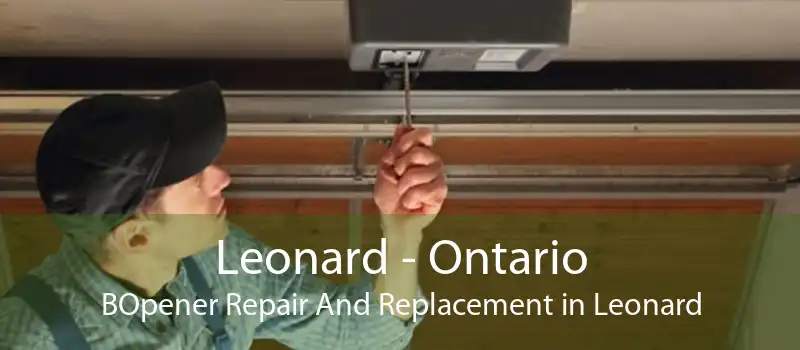 Leonard - Ontario BOpener Repair And Replacement in Leonard