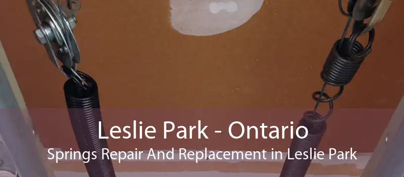 Leslie Park - Ontario Springs Repair And Replacement in Leslie Park