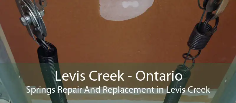 Levis Creek - Ontario Springs Repair And Replacement in Levis Creek