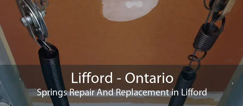 Lifford - Ontario Springs Repair And Replacement in Lifford