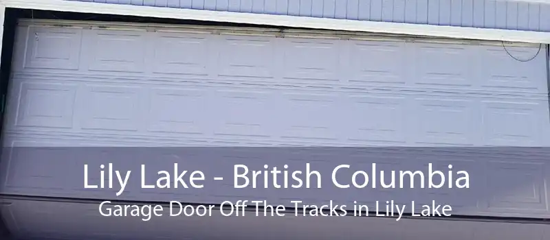 Lily Lake - British Columbia Garage Door Off The Tracks in Lily Lake