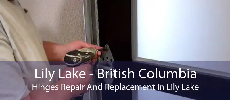 Lily Lake - British Columbia Hinges Repair And Replacement in Lily Lake
