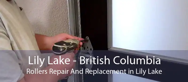 Lily Lake - British Columbia Rollers Repair And Replacement in Lily Lake
