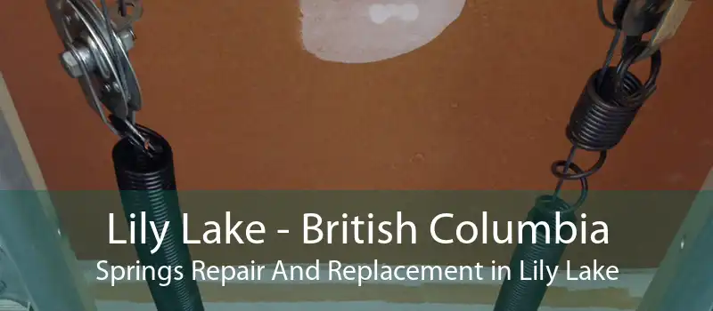 Lily Lake - British Columbia Springs Repair And Replacement in Lily Lake
