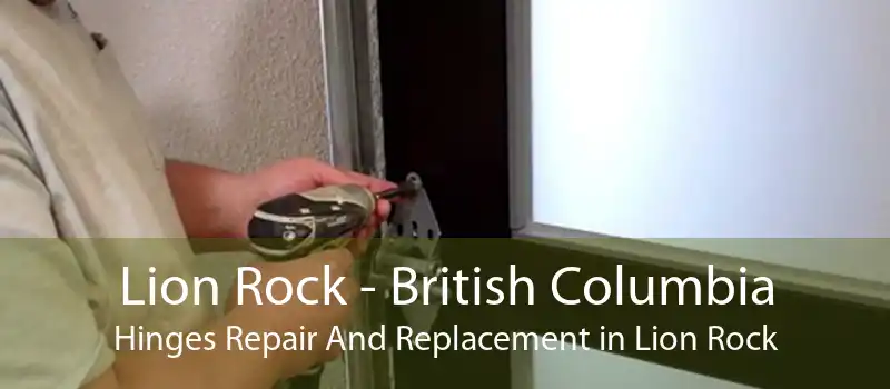 Lion Rock - British Columbia Hinges Repair And Replacement in Lion Rock