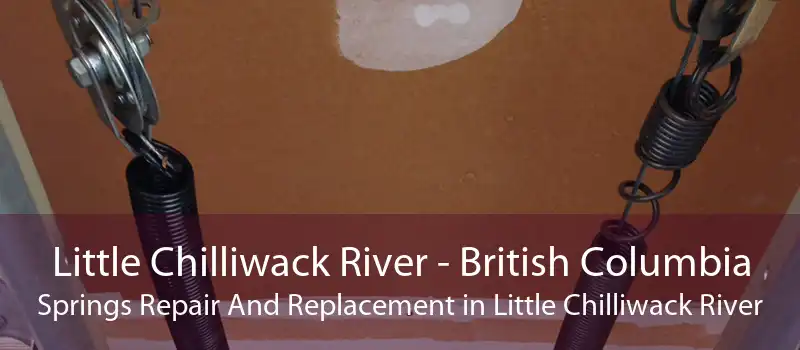 Little Chilliwack River - British Columbia Springs Repair And Replacement in Little Chilliwack River