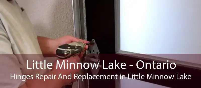 Little Minnow Lake - Ontario Hinges Repair And Replacement in Little Minnow Lake