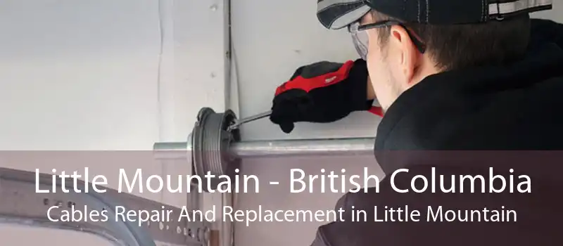Little Mountain - British Columbia Cables Repair And Replacement in Little Mountain