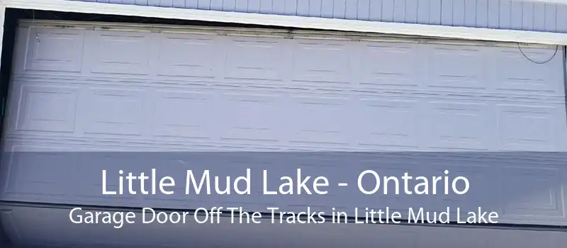 Little Mud Lake - Ontario Garage Door Off The Tracks in Little Mud Lake