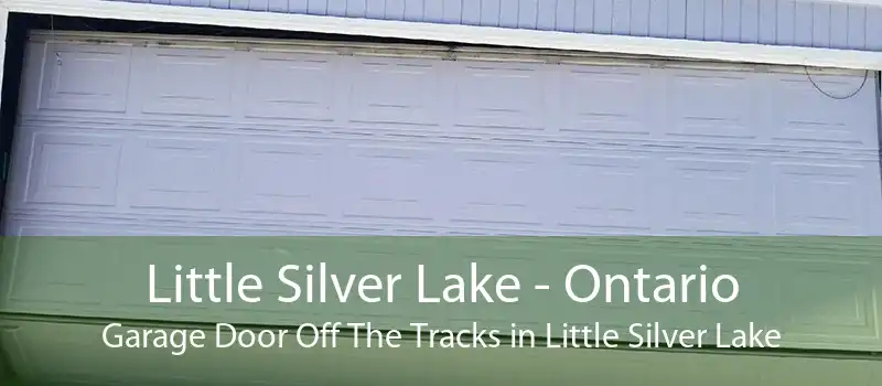 Little Silver Lake - Ontario Garage Door Off The Tracks in Little Silver Lake