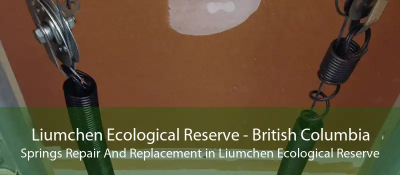 Liumchen Ecological Reserve - British Columbia Springs Repair And Replacement in Liumchen Ecological Reserve