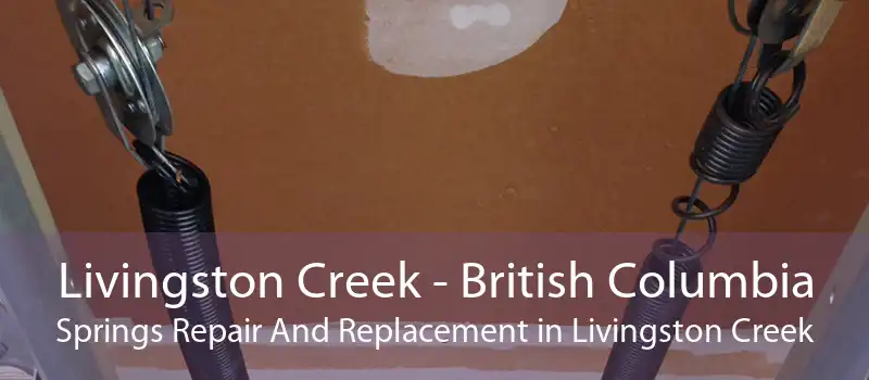 Livingston Creek - British Columbia Springs Repair And Replacement in Livingston Creek