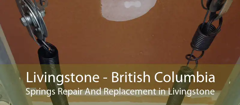 Livingstone - British Columbia Springs Repair And Replacement in Livingstone