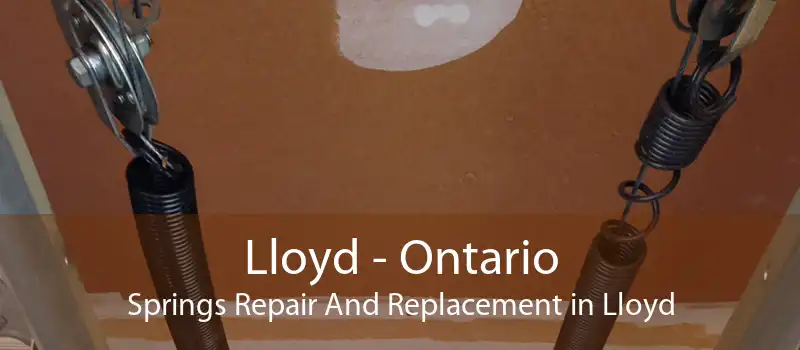 Lloyd - Ontario Springs Repair And Replacement in Lloyd