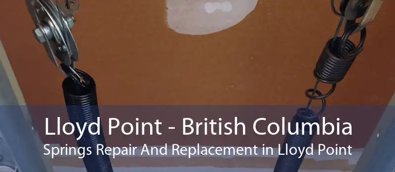 Lloyd Point - British Columbia Springs Repair And Replacement in Lloyd Point