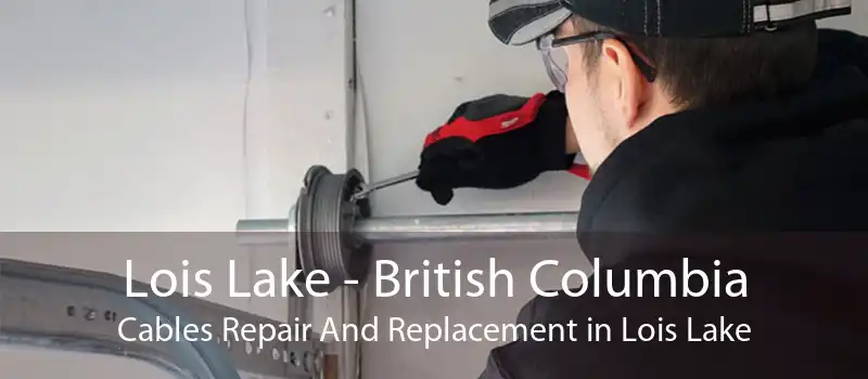 Lois Lake - British Columbia Cables Repair And Replacement in Lois Lake