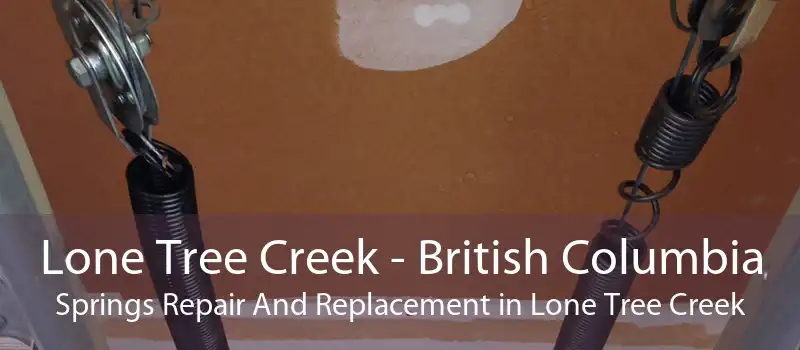 Lone Tree Creek - British Columbia Springs Repair And Replacement in Lone Tree Creek