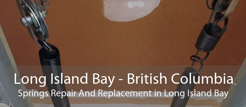 Long Island Bay - British Columbia Springs Repair And Replacement in Long Island Bay