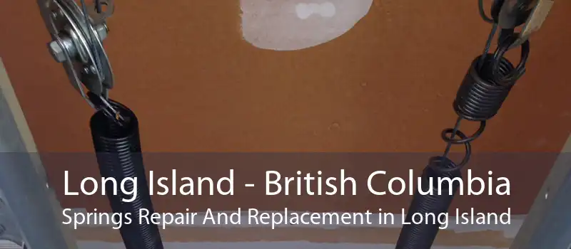 Long Island - British Columbia Springs Repair And Replacement in Long Island