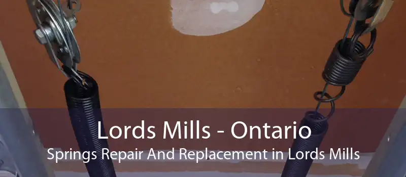 Lords Mills - Ontario Springs Repair And Replacement in Lords Mills