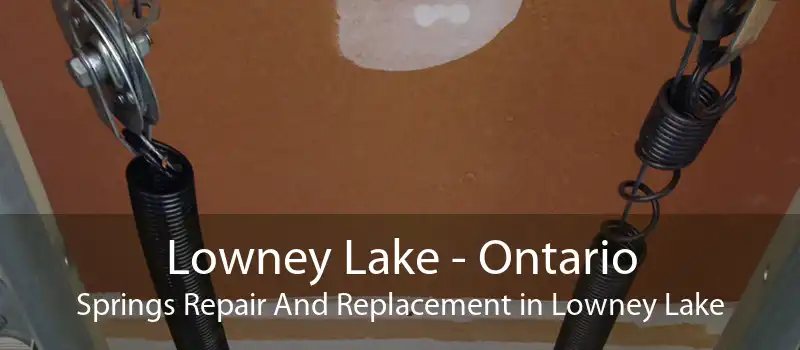 Lowney Lake - Ontario Springs Repair And Replacement in Lowney Lake