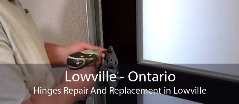 Lowville - Ontario Hinges Repair And Replacement in Lowville