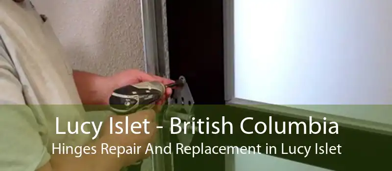 Lucy Islet - British Columbia Hinges Repair And Replacement in Lucy Islet