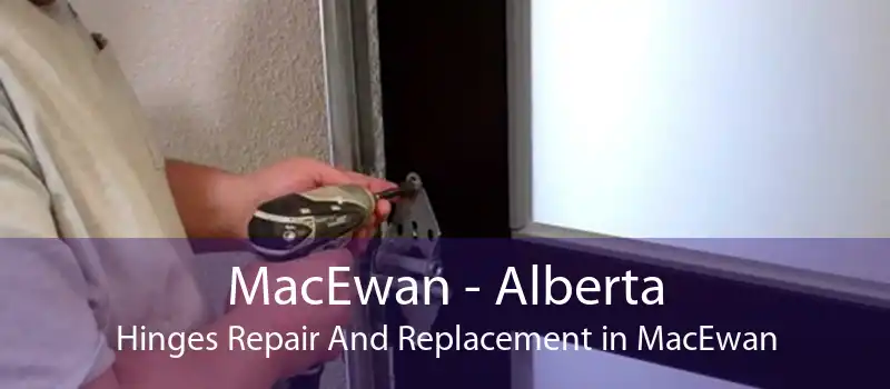 MacEwan - Alberta Hinges Repair And Replacement in MacEwan