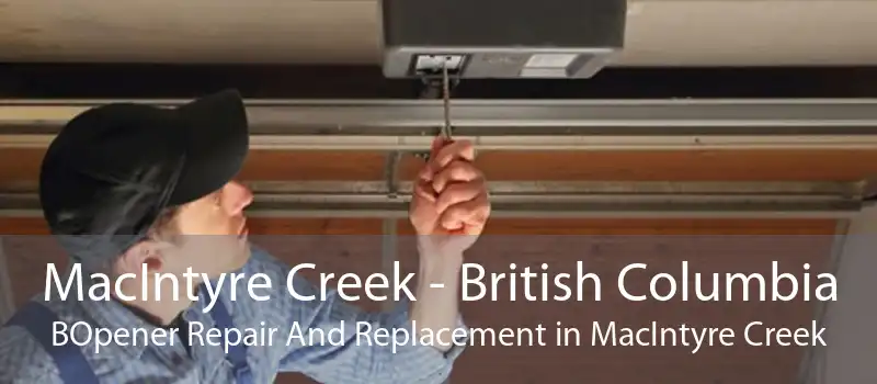 MacIntyre Creek - British Columbia BOpener Repair And Replacement in MacIntyre Creek