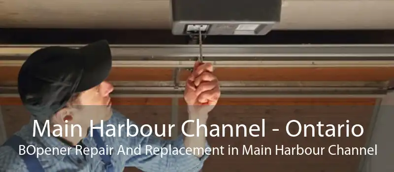 Main Harbour Channel - Ontario BOpener Repair And Replacement in Main Harbour Channel