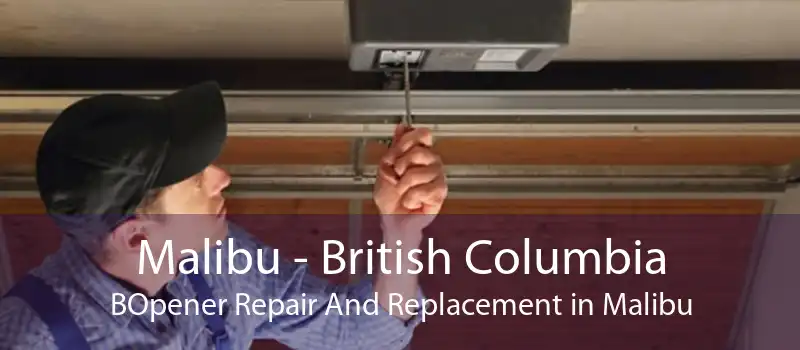 Malibu - British Columbia BOpener Repair And Replacement in Malibu