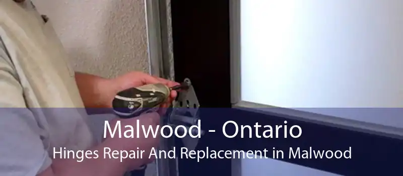 Malwood - Ontario Hinges Repair And Replacement in Malwood