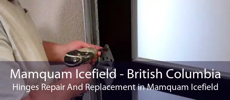 Mamquam Icefield - British Columbia Hinges Repair And Replacement in Mamquam Icefield