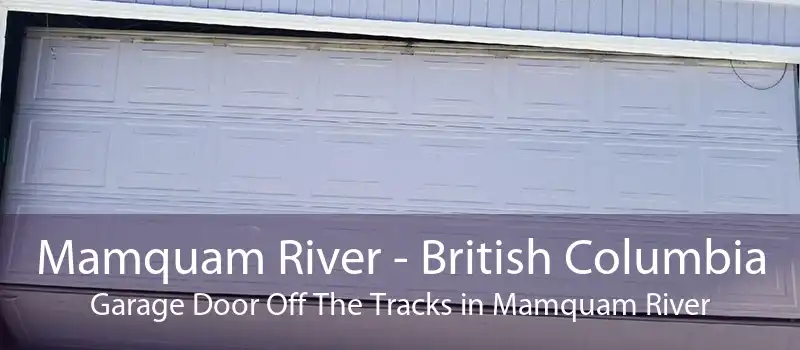 Mamquam River - British Columbia Garage Door Off The Tracks in Mamquam River