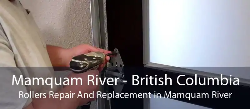 Mamquam River - British Columbia Rollers Repair And Replacement in Mamquam River