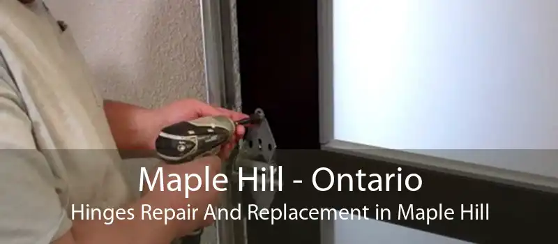 Maple Hill - Ontario Hinges Repair And Replacement in Maple Hill