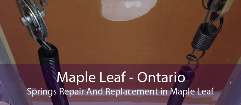 Maple Leaf - Ontario Springs Repair And Replacement in Maple Leaf