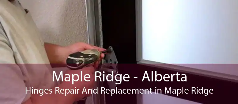 Maple Ridge - Alberta Hinges Repair And Replacement in Maple Ridge