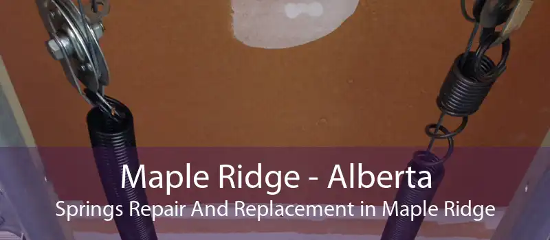 Maple Ridge - Alberta Springs Repair And Replacement in Maple Ridge