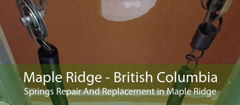 Maple Ridge - British Columbia Springs Repair And Replacement in Maple Ridge