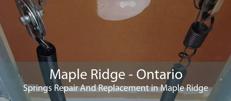 Maple Ridge - Ontario Springs Repair And Replacement in Maple Ridge