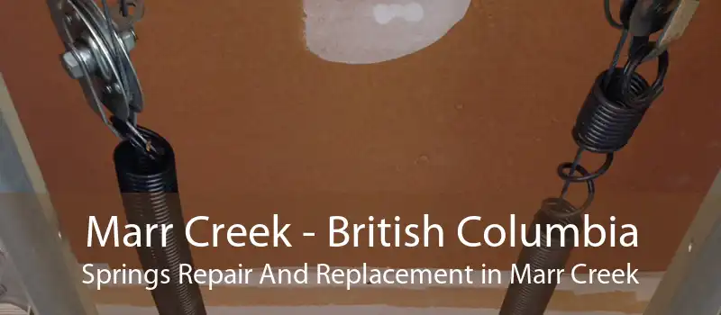 Marr Creek - British Columbia Springs Repair And Replacement in Marr Creek
