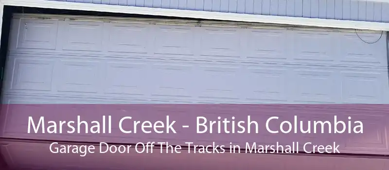 Marshall Creek - British Columbia Garage Door Off The Tracks in Marshall Creek