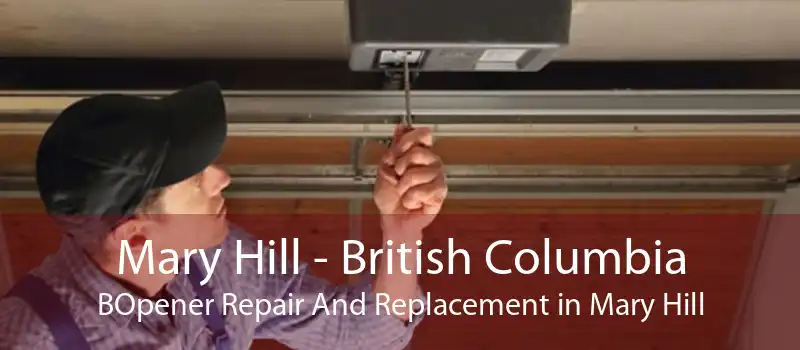 Mary Hill - British Columbia BOpener Repair And Replacement in Mary Hill