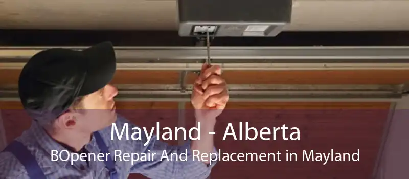 Mayland - Alberta BOpener Repair And Replacement in Mayland