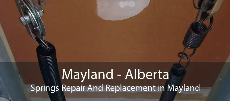 Mayland - Alberta Springs Repair And Replacement in Mayland